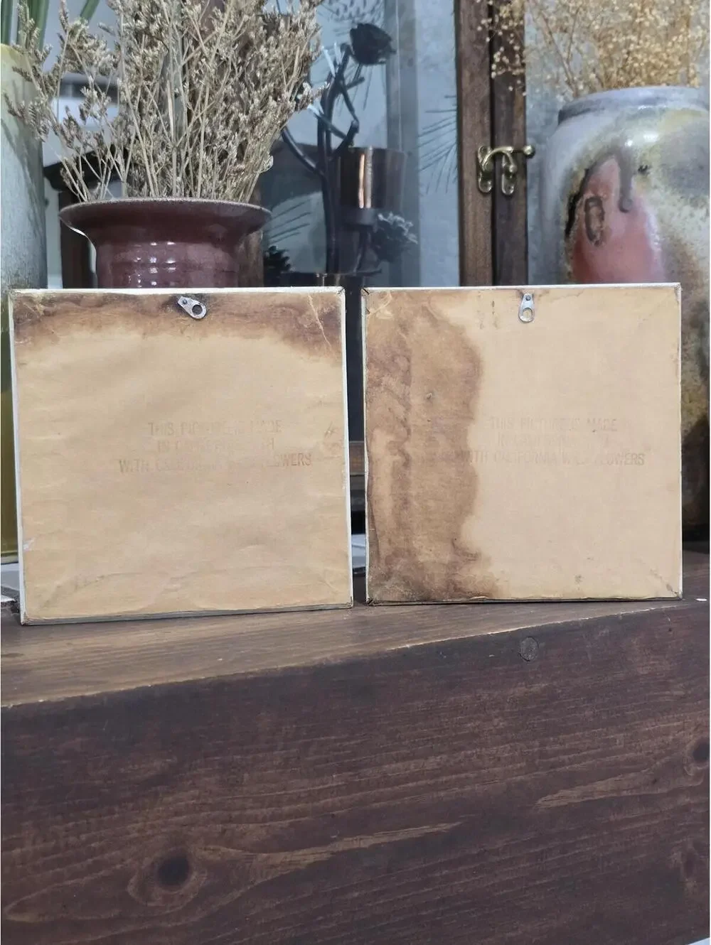 Vintage California Wildflower Framed Silhouette Art – Set of 2